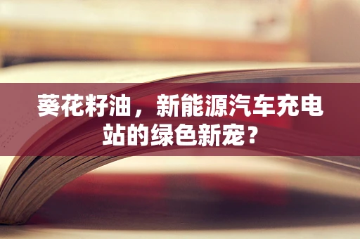 葵花籽油，新能源汽车充电站的绿色新宠？