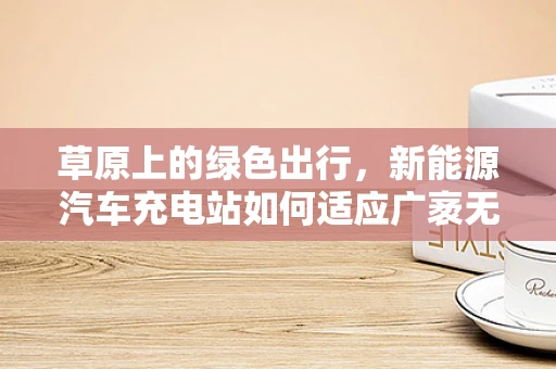 草原上的绿色出行，新能源汽车充电站如何适应广袤无垠的草原环境？