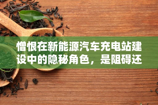 憎恨在新能源汽车充电站建设中的隐秘角色，是阻碍还是推动力？