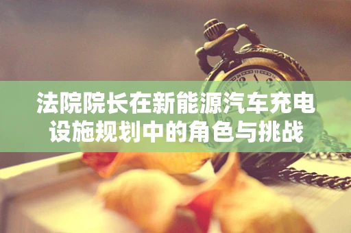 法院院长在新能源汽车充电设施规划中的角色与挑战