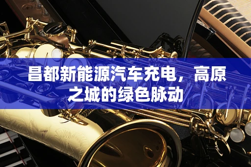 昌都新能源汽车充电，高原之城的绿色脉动