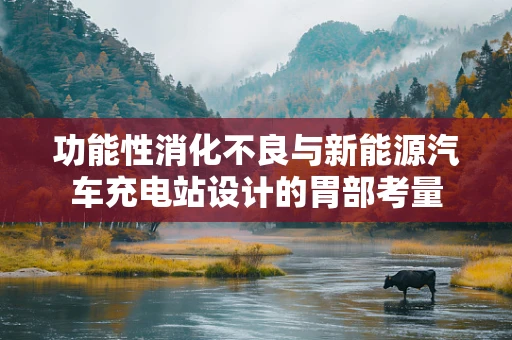 功能性消化不良与新能源汽车充电站设计的胃部考量