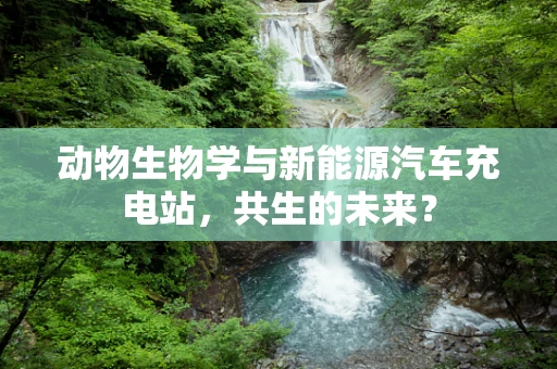 动物生物学与新能源汽车充电站，共生的未来？