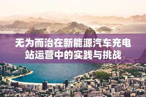 无为而治在新能源汽车充电站运营中的实践与挑战
