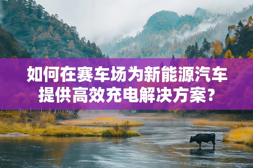 如何在赛车场为新能源汽车提供高效充电解决方案？
