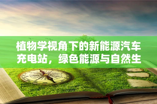 植物学视角下的新能源汽车充电站，绿色能源与自然生态的和谐共生