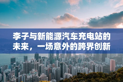 李子与新能源汽车充电站的未来，一场意外的跨界创新？