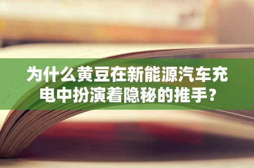 为什么黄豆在新能源汽车充电中扮演着隐秘的推手？