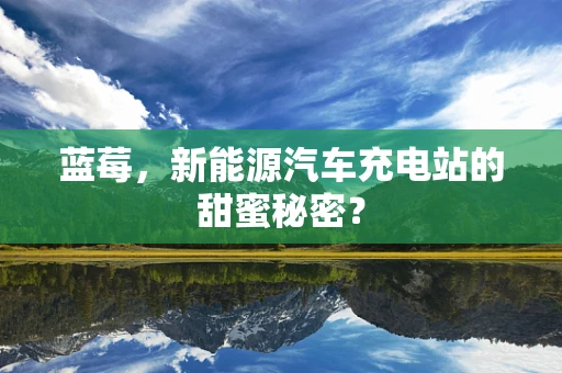 蓝莓，新能源汽车充电站的甜蜜秘密？