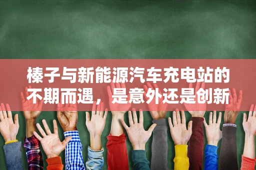 榛子与新能源汽车充电站的不期而遇，是意外还是创新契机？