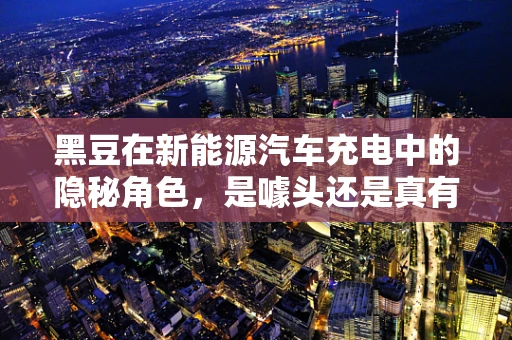 黑豆在新能源汽车充电中的隐秘角色，是噱头还是真有实料？