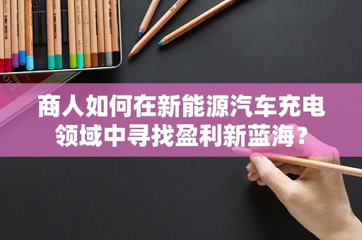 商人如何在新能源汽车充电领域中寻找盈利新蓝海？