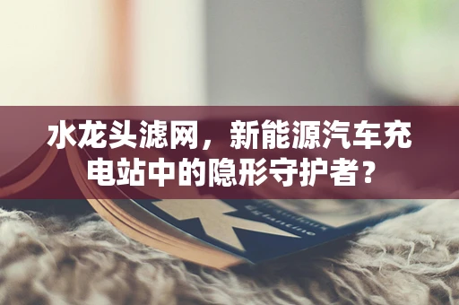 水龙头滤网，新能源汽车充电站中的隐形守护者？