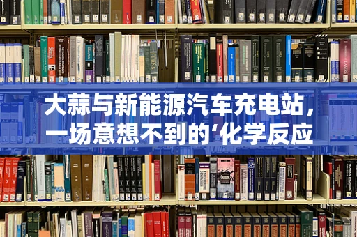 大蒜与新能源汽车充电站，一场意想不到的‘化学反应’？