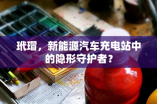 玳瑁，新能源汽车充电站中的隐形守护者？