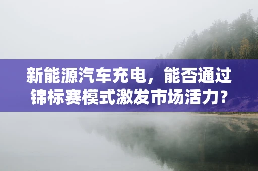 新能源汽车充电，能否通过锦标赛模式激发市场活力？
