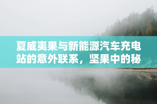 夏威夷果与新能源汽车充电站的意外联系，坚果中的秘密如何影响充电效率？