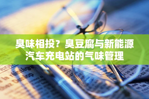 臭味相投？臭豆腐与新能源汽车充电站的气味管理