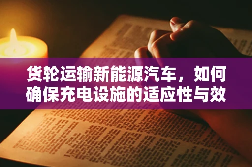 货轮运输新能源汽车，如何确保充电设施的适应性与效率？