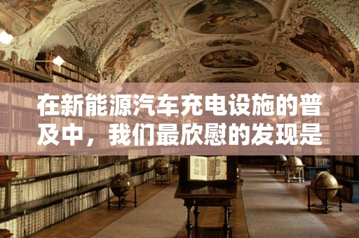 在新能源汽车充电设施的普及中，我们最欣慰的发现是什么？