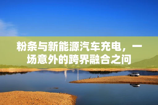 粉条与新能源汽车充电，一场意外的跨界融合之问