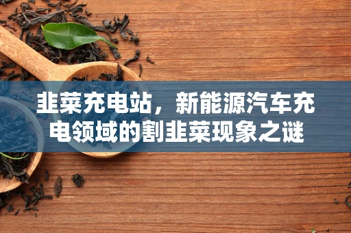 韭菜充电站，新能源汽车充电领域的割韭菜现象之谜