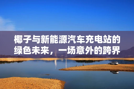 椰子与新能源汽车充电站的绿色未来，一场意外的跨界融合？