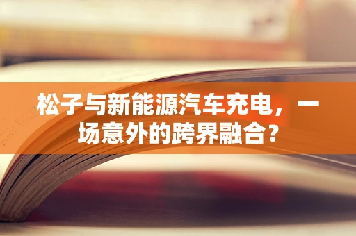 松子与新能源汽车充电，一场意外的跨界融合？