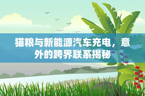 猫粮与新能源汽车充电，意外的跨界联系揭秘