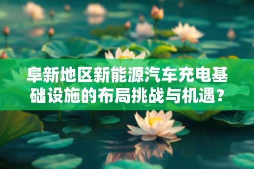 阜新地区新能源汽车充电基础设施的布局挑战与机遇？