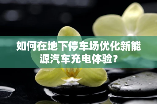 如何在地下停车场优化新能源汽车充电体验？