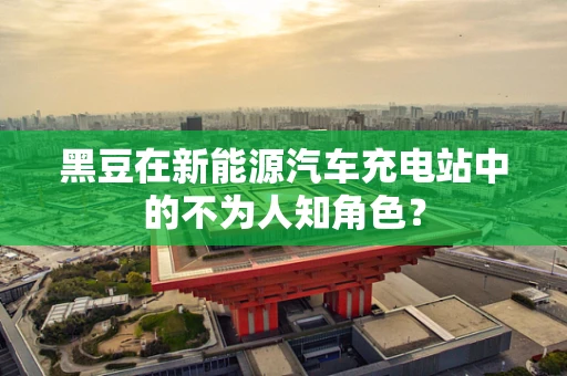 黑豆在新能源汽车充电站中的不为人知角色？