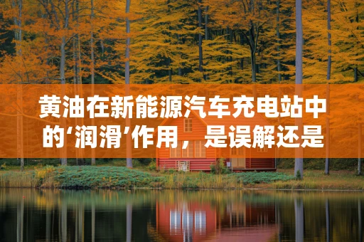 黄油在新能源汽车充电站中的‘润滑’作用，是误解还是真谛？