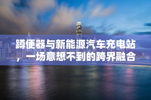 蹲便器与新能源汽车充电站，一场意想不到的跨界融合思考？