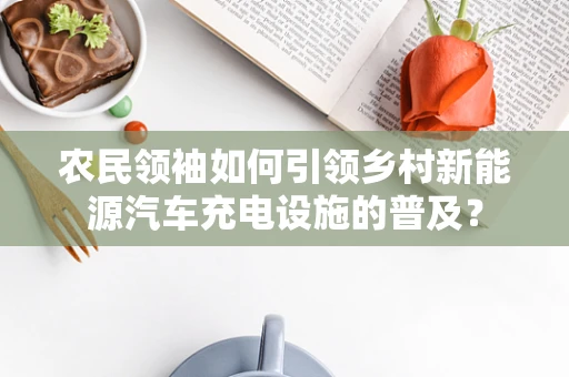 农民领袖如何引领乡村新能源汽车充电设施的普及？