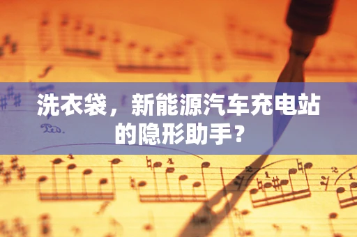 洗衣袋，新能源汽车充电站的隐形助手？