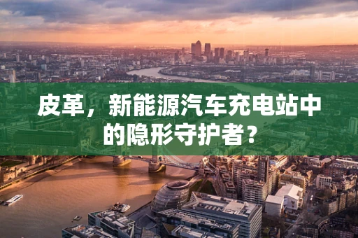 皮革，新能源汽车充电站中的隐形守护者？