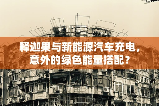 释迦果与新能源汽车充电，意外的绿色能量搭配？