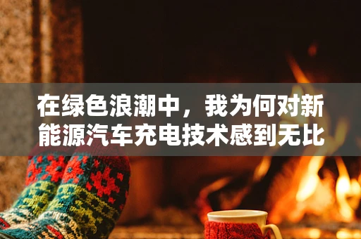 在绿色浪潮中，我为何对新能源汽车充电技术感到无比自豪？