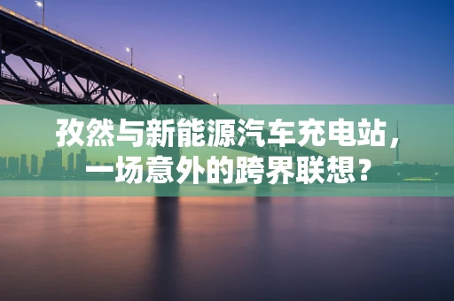 孜然与新能源汽车充电站，一场意外的跨界联想？