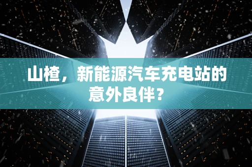 山楂，新能源汽车充电站的意外良伴？