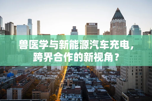 兽医学与新能源汽车充电，跨界合作的新视角？