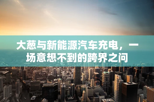 大葱与新能源汽车充电，一场意想不到的跨界之问