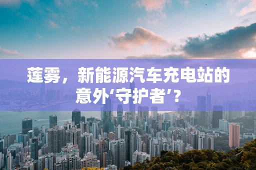 莲雾，新能源汽车充电站的意外‘守护者’？