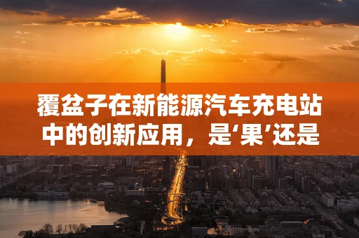 覆盆子在新能源汽车充电站中的创新应用，是‘果’还是‘过’？