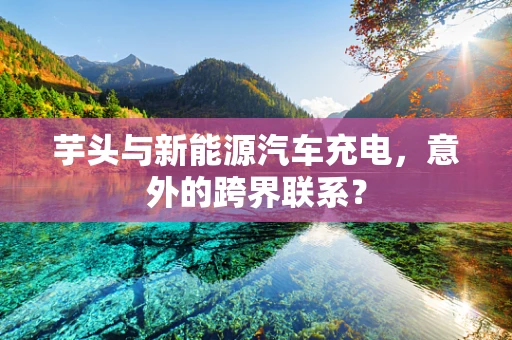 芋头与新能源汽车充电，意外的跨界联系？