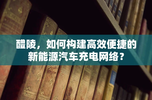 醴陵，如何构建高效便捷的新能源汽车充电网络？