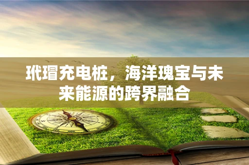 玳瑁充电桩，海洋瑰宝与未来能源的跨界融合