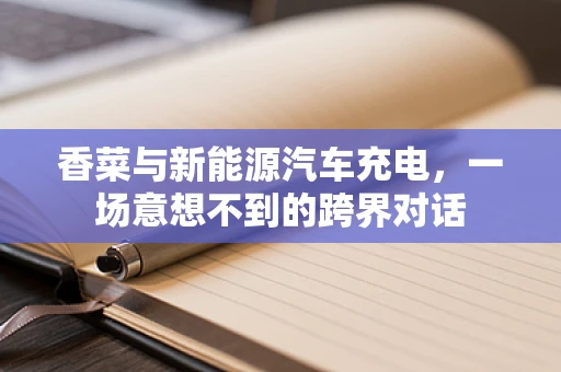 香菜与新能源汽车充电，一场意想不到的跨界对话