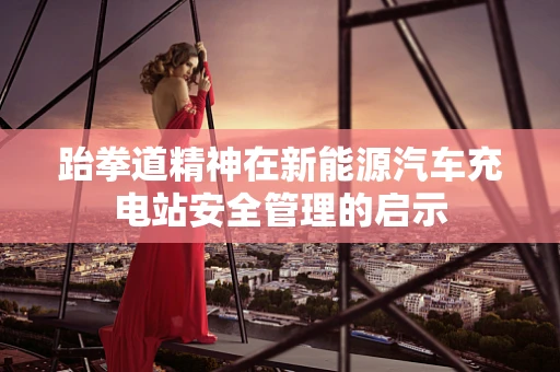 跆拳道精神在新能源汽车充电站安全管理的启示